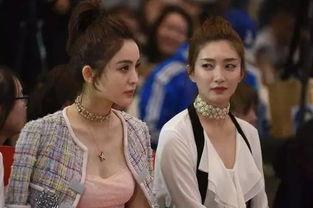 娱乐圈吃瓜真假,真假瓜果纷飞，揭秘明星幕后真相